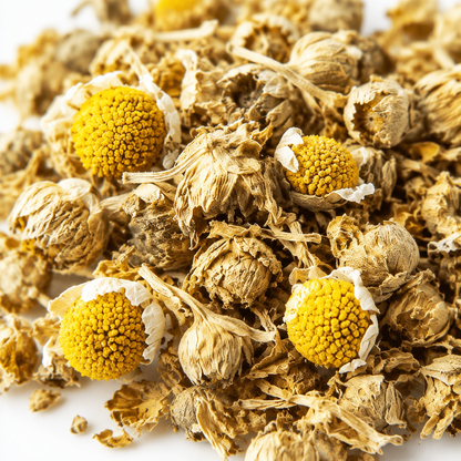 Chamomile detail review draft
