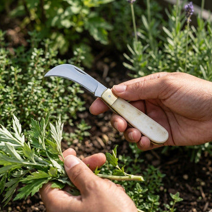 Closed folding boline with white handle and brass accents on velvet cloth, focusing on portability and fine details.