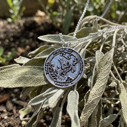 Tiny Discover Secrets Amulet with engraved symbols resting on sage leaves in a sunlit garden.
