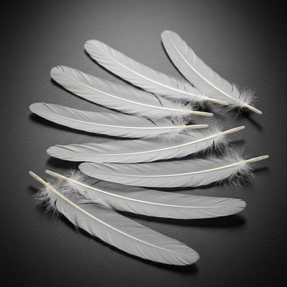 White Smudge Feathers, 12", Set of 10