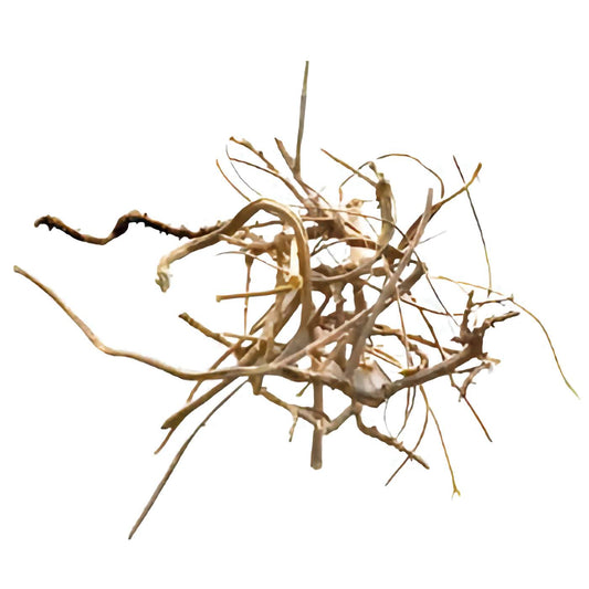 Dried Devil's Shoestring, 1 lb.