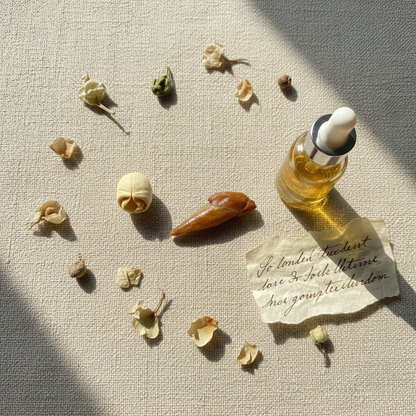 Adam and Eve Root pair flat lay on linen cloth with botanicals and oil bottle