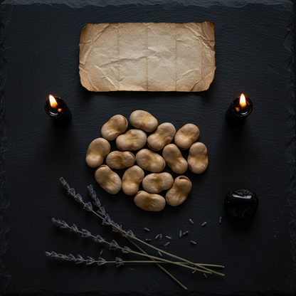 Overhead flat lay of dried fava beans on dark slate with lit black chime candles, lavender, parchment, and obsidian