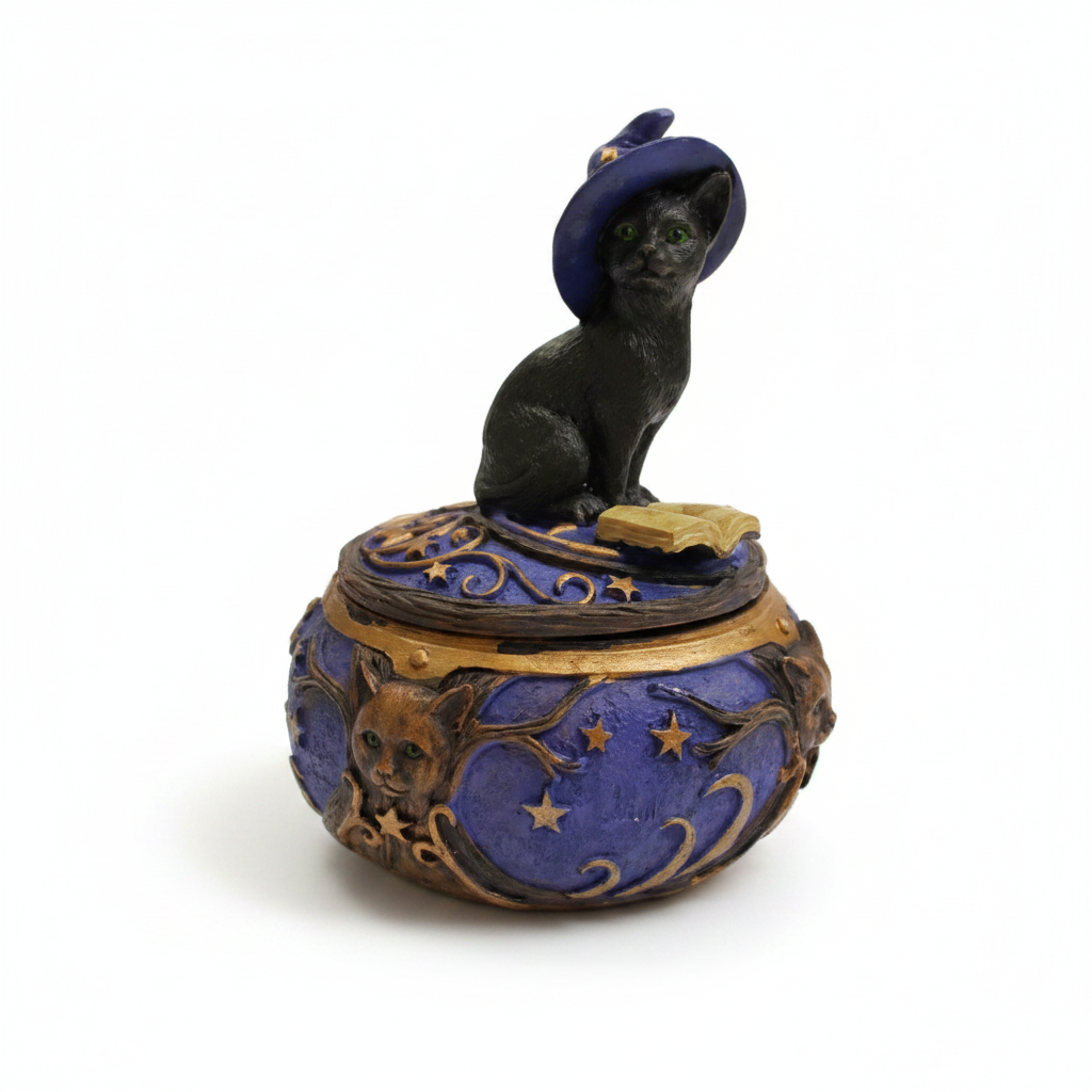Magical Cat Box