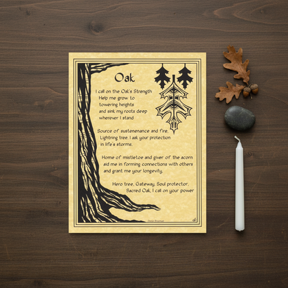 Oak Poster flat lay