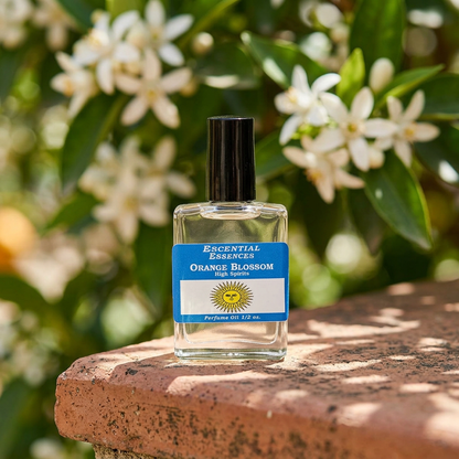 Close-up macro of Orange Blossom Perfume Oil bottle on textured terracotta with blurred orange blossoms and greenery in the background, highlighting freshness and clarity.