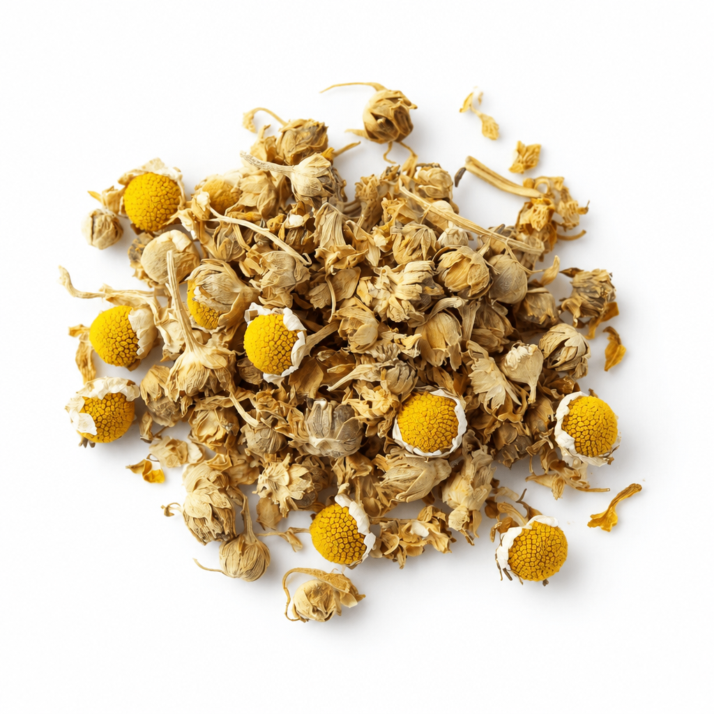 Plain-white chamomile review draft