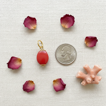 Polished Coral with Gold Hardware, 3/4", alternate view