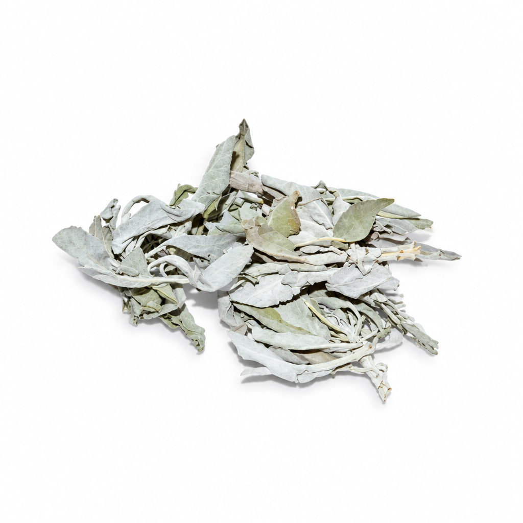 Product lay: the white sage loose leaves on a plain white background
