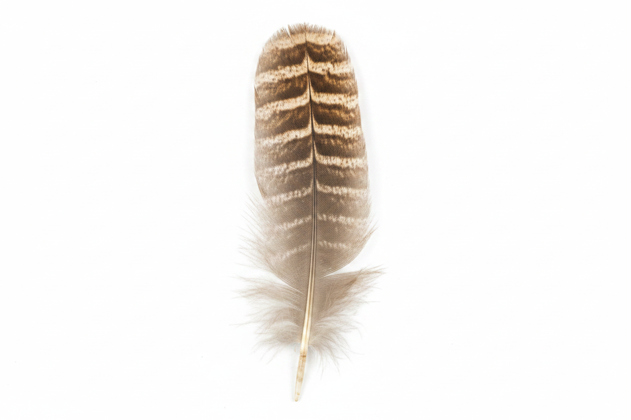Product Lay
