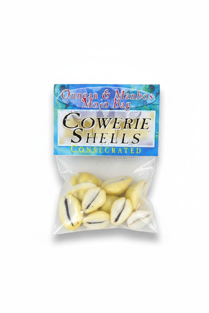 White Background Product Lay