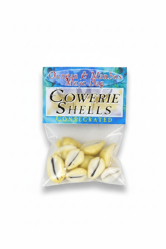 White Background Product Lay