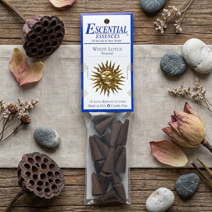 Flat lay of biodegradable packaging of white lotus incense cones surrounded by dried lotus flowers and stones on rustic wood.